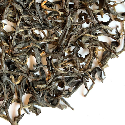 Assam Latumoni Golden Tips