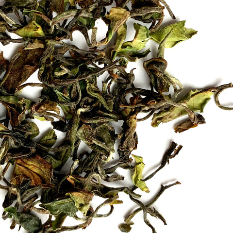 Darjeeling Rohini 1st Flush
